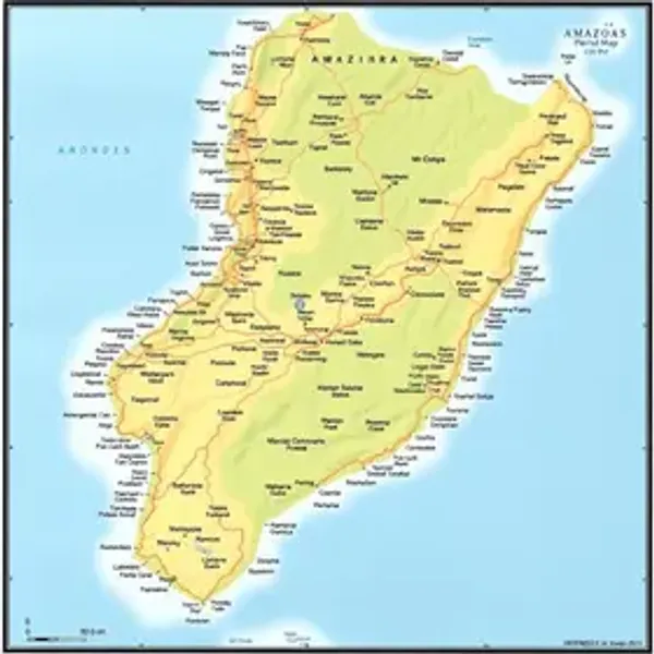 Mapa político do Amazonas com municípios: mapa, referências e orientação prática