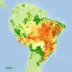 Mapa de desmatamento no Pampas: guia para interpretar o território brasileiro