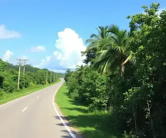 Mapa de ciclovias de Manaus com rotas: guia para se orientar pela cidade