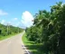Mapa de ciclovias de Manaus com rotas: guia para se orientar pela cidade