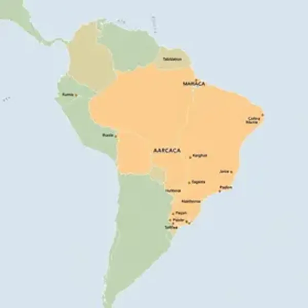 Mapa do Brasil com legenda simples: guia para entender a divisão territorial
