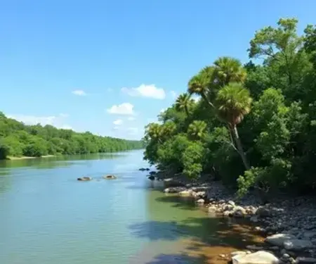 Mapa do rio Tocantins: elementos naturais e localização no mapa
